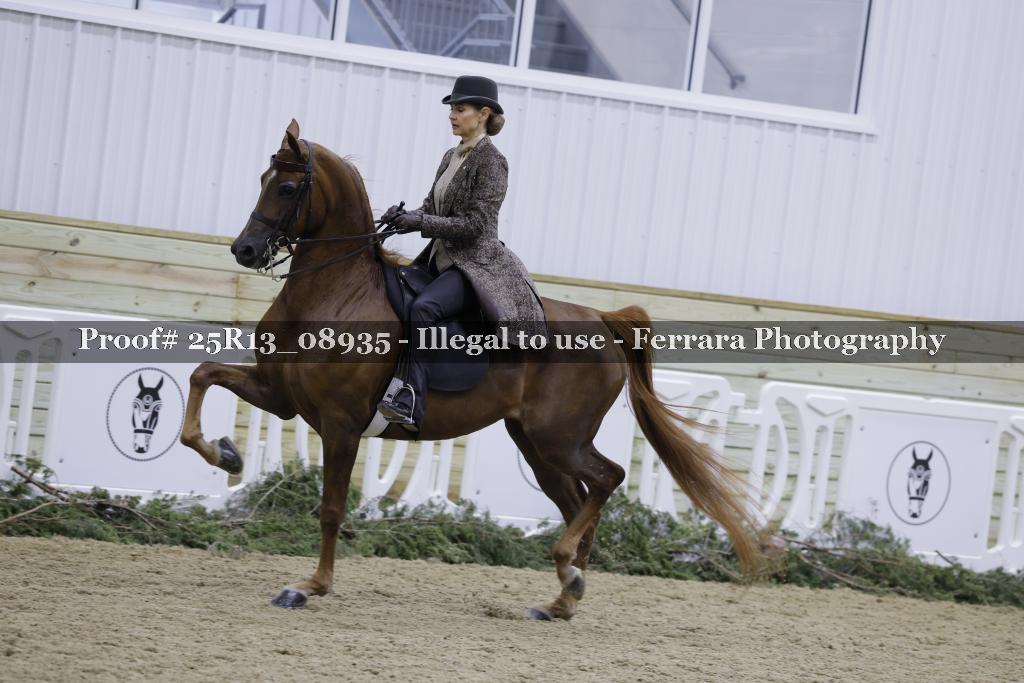 Proof Number 25R13_08935