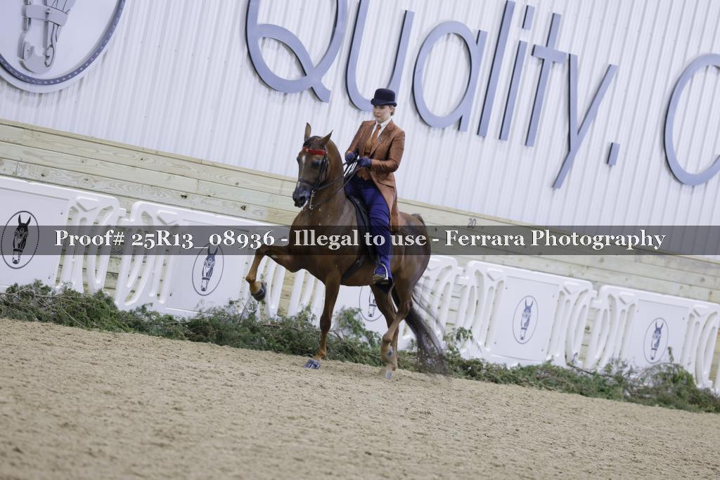 Proof Number 25R13_08936