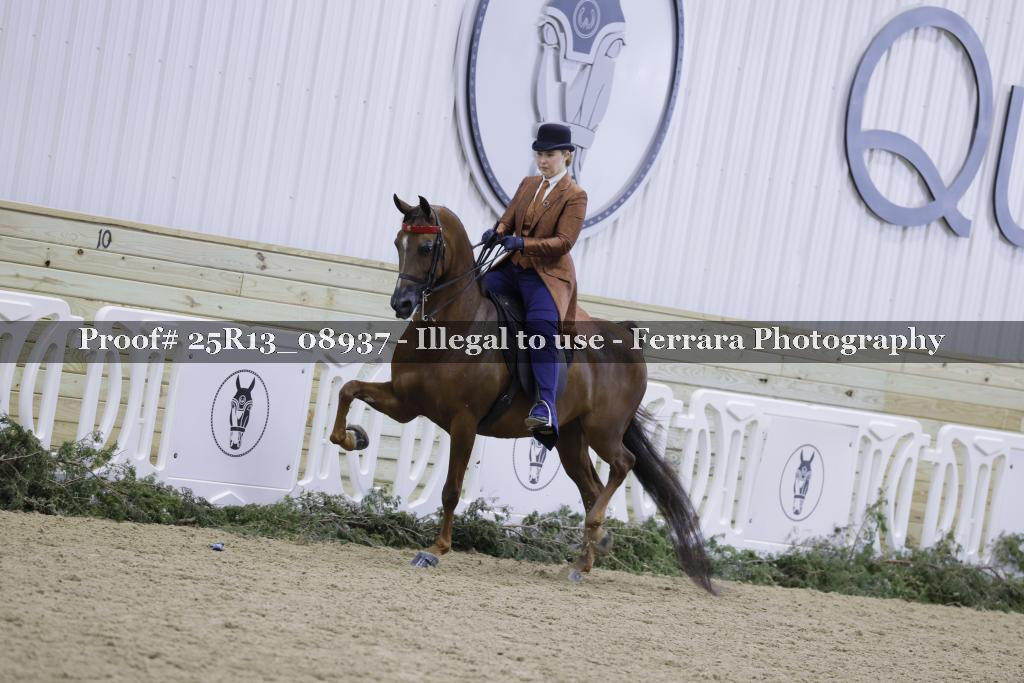 Proof Number 25R13_08937