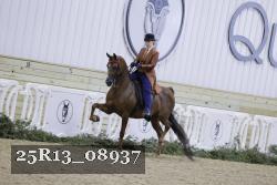 25R13_08937 thumbnail