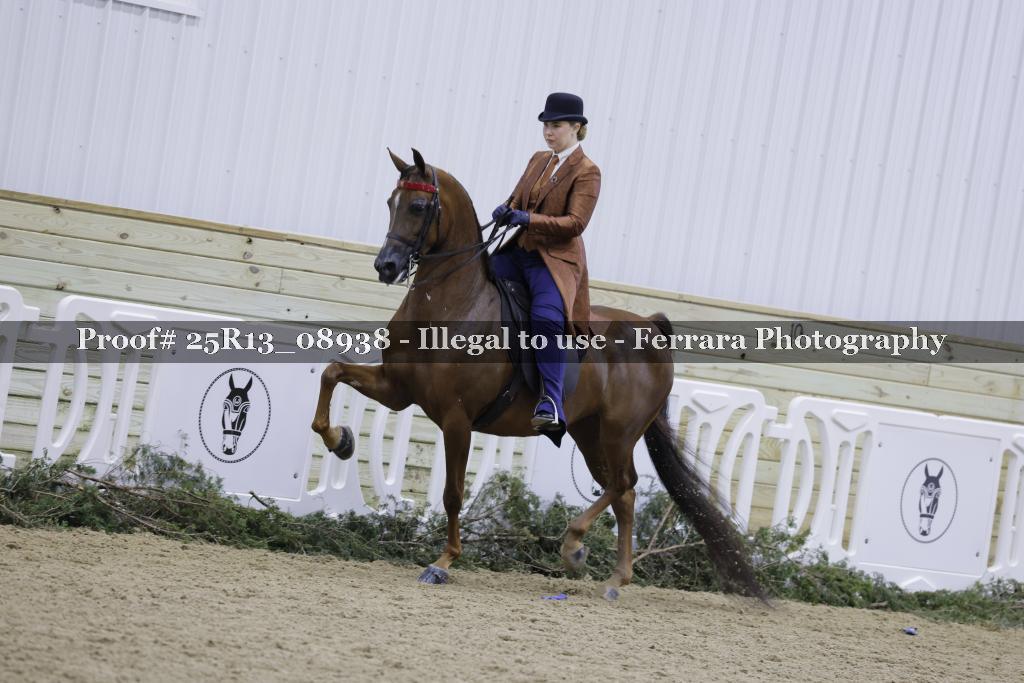 Proof Number 25R13_08938