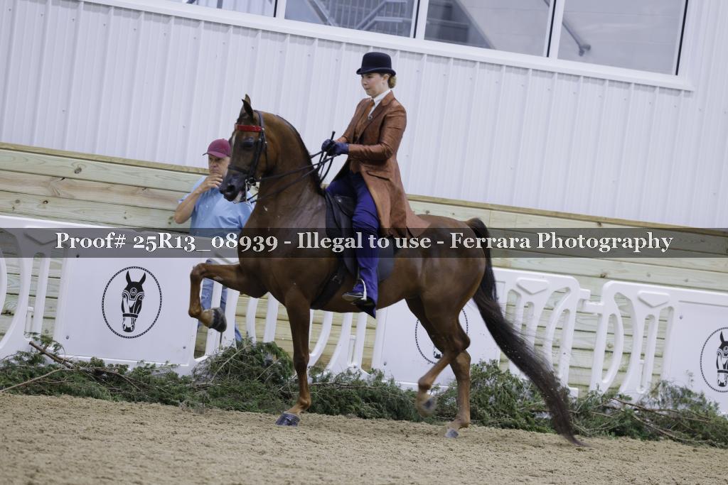 Proof Number 25R13_08939