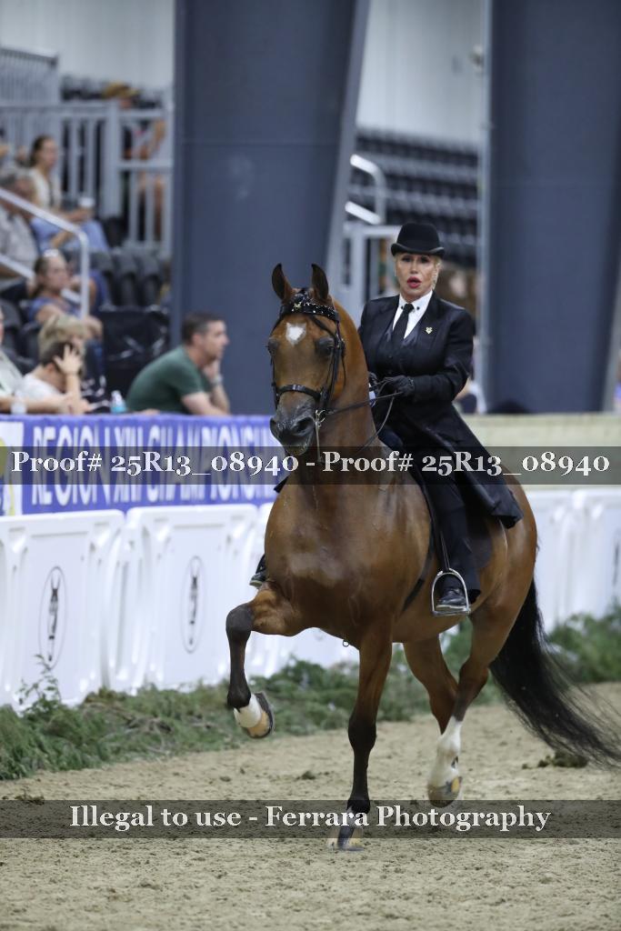 Proof Number 25R13_08940