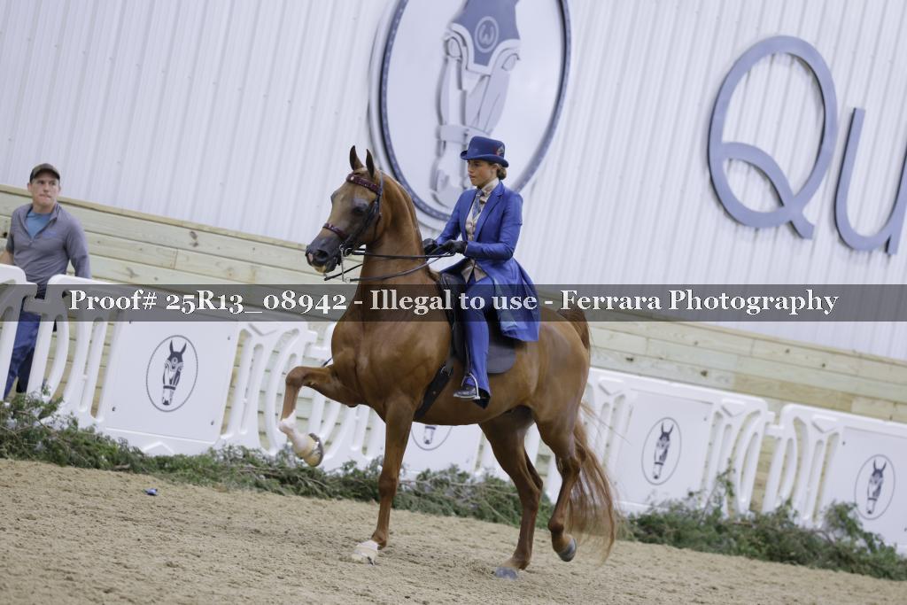 Proof Number 25R13_08942
