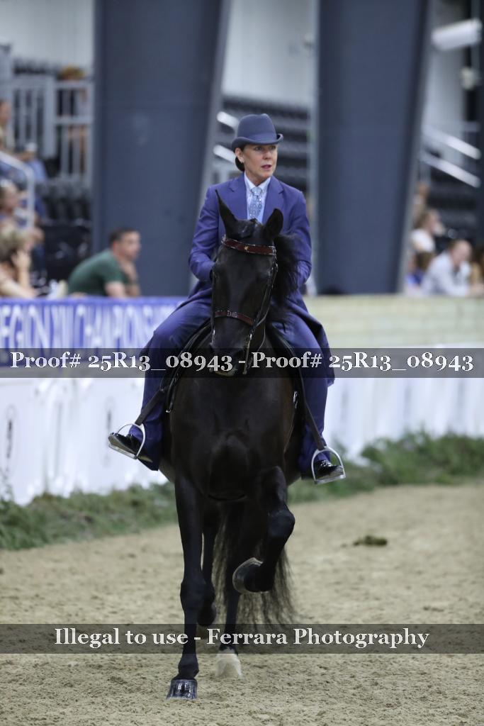 Proof Number 25R13_08943