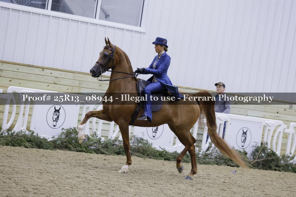 Proof Number 25R13_08944
