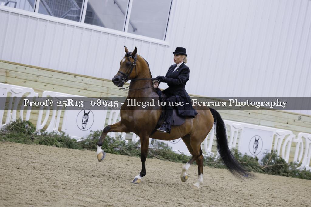 Proof Number 25R13_08945
