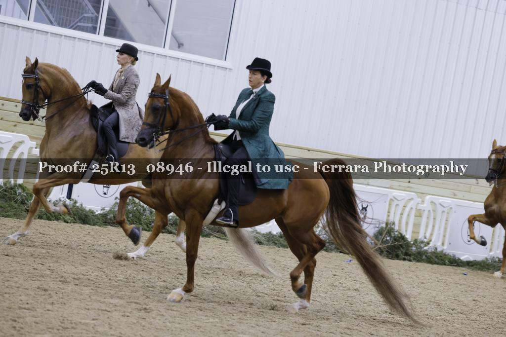 Proof Number 25R13_08946
