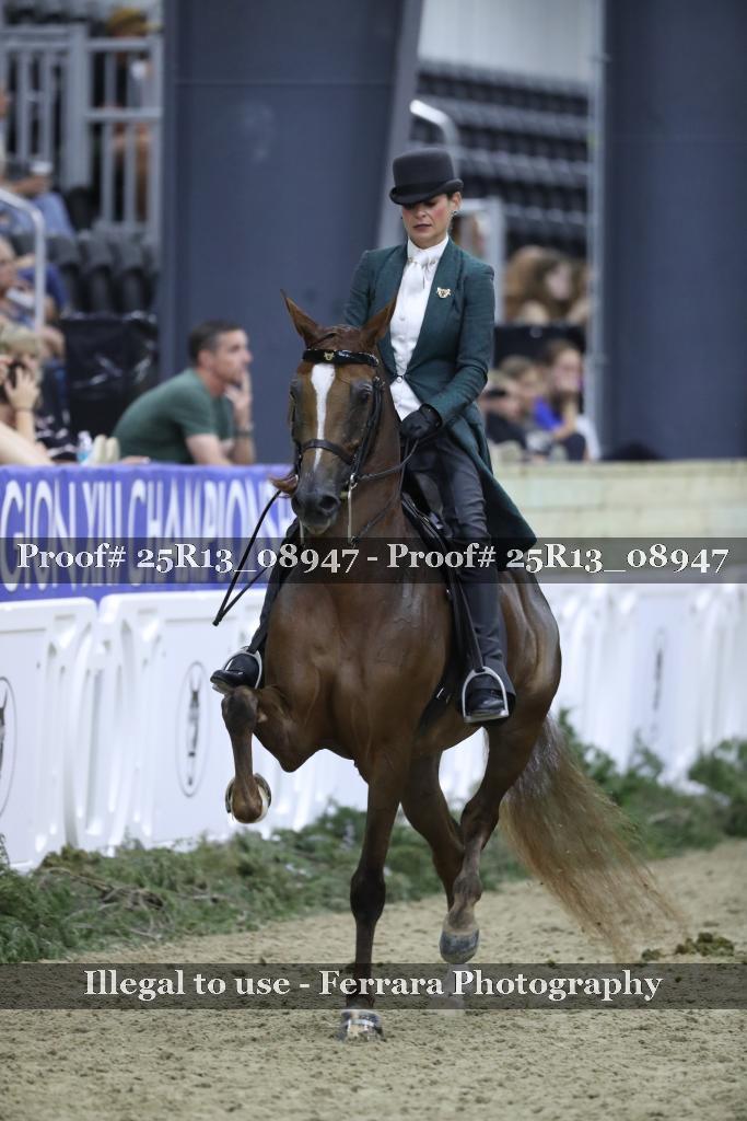 Proof Number 25R13_08947