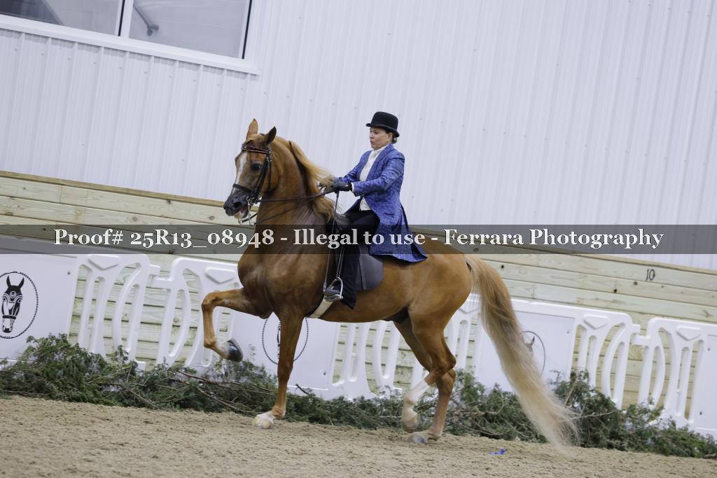 Proof Number 25R13_08948