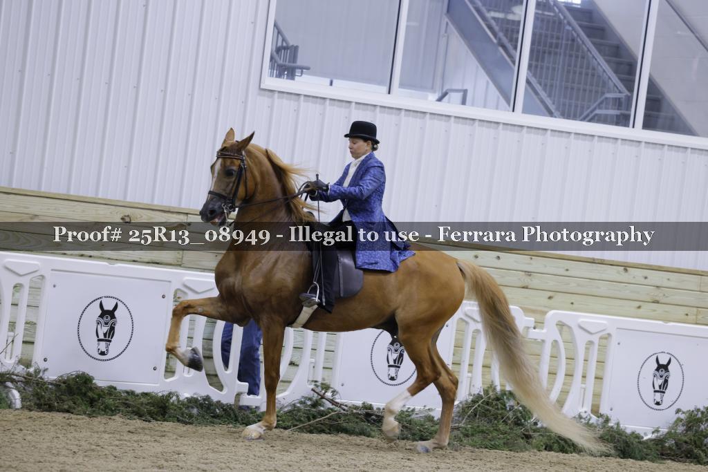 Proof Number 25R13_08949