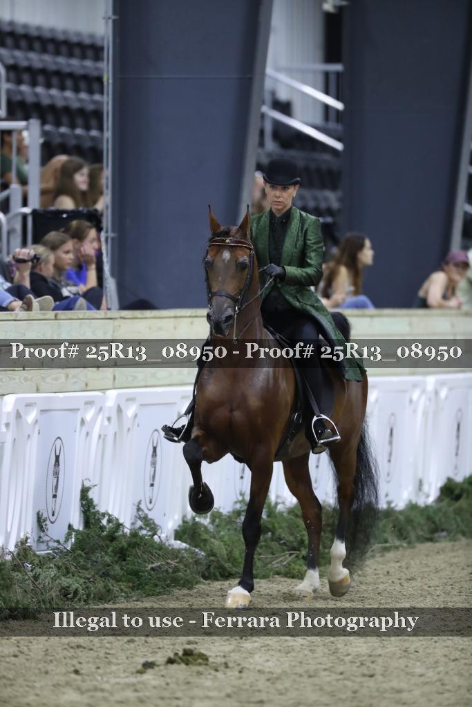 Proof Number 25R13_08950