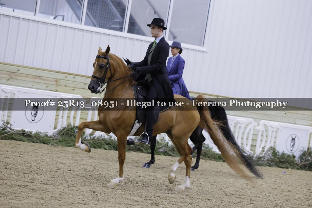Proof Number 25R13_08951