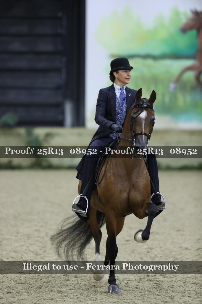 Proof Number 25R13_08952