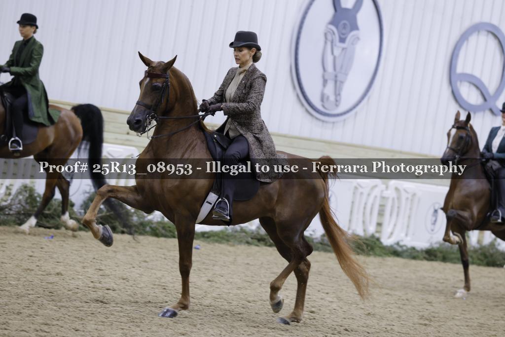 Proof Number 25R13_08953