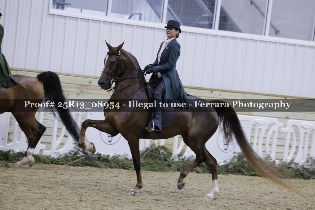 Proof Number 25R13_08954