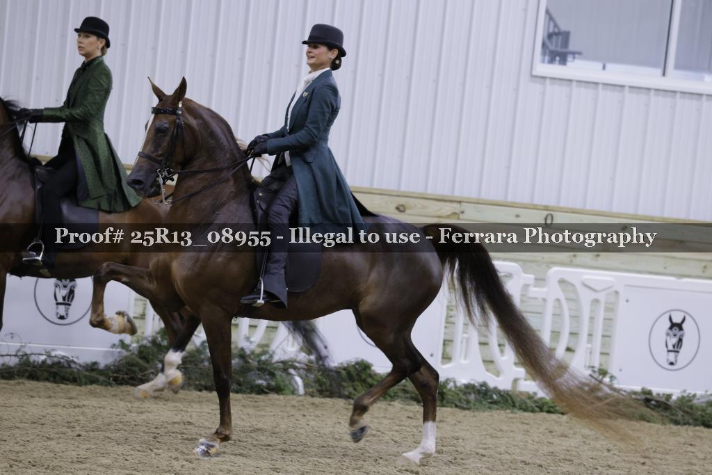 Proof Number 25R13_08955