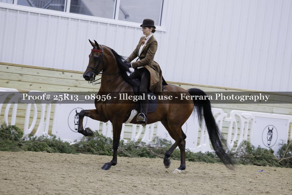 Proof Number 25R13_08956