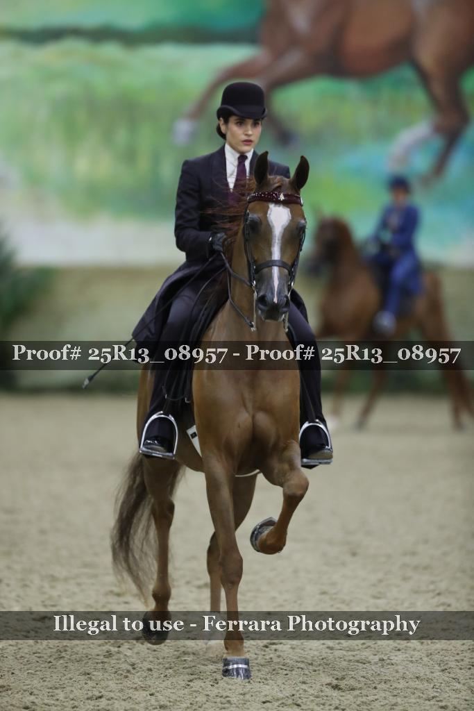 Proof Number 25R13_08957