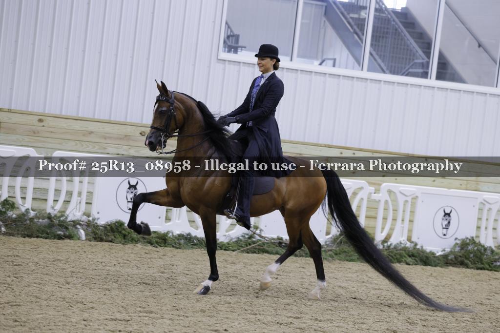 Proof Number 25R13_08958