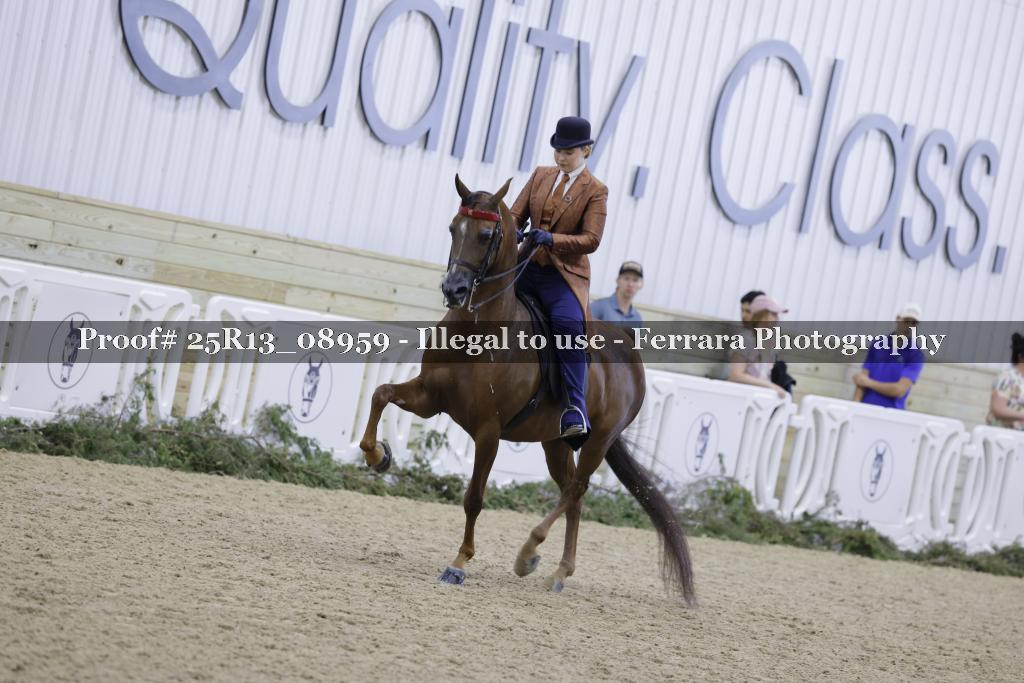 Proof Number 25R13_08959