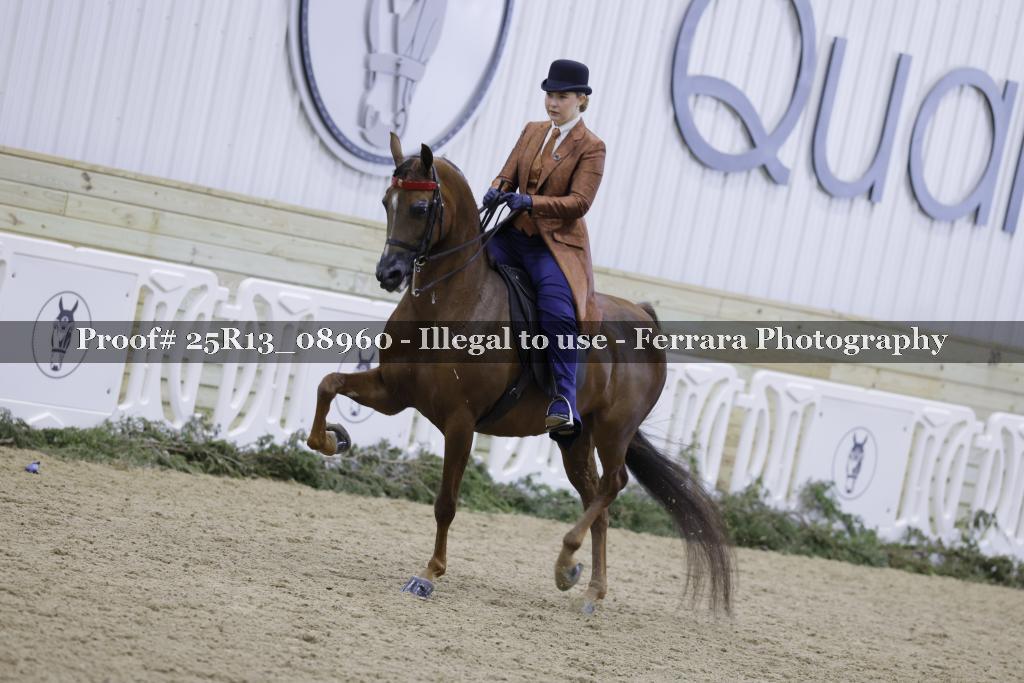 Proof Number 25R13_08960