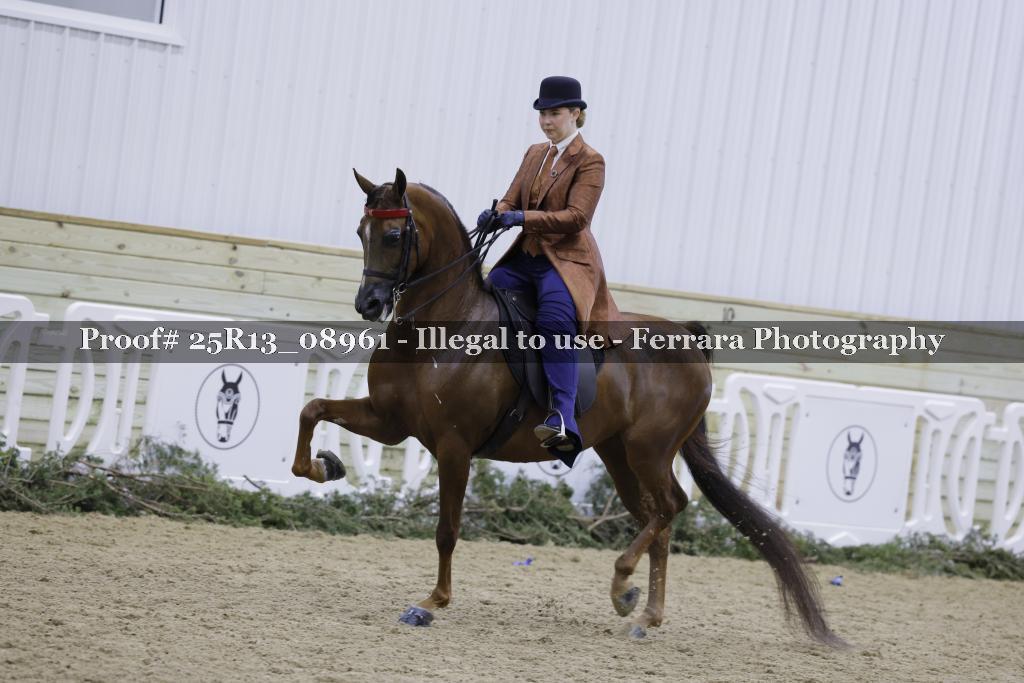 Proof Number 25R13_08961