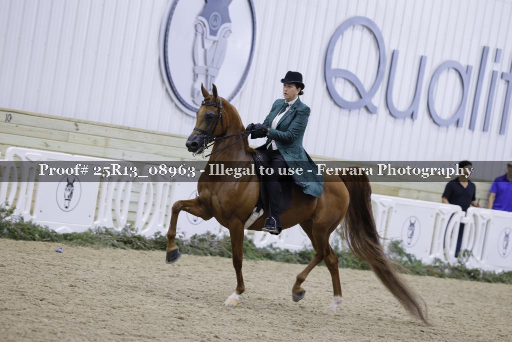Proof Number 25R13_08963