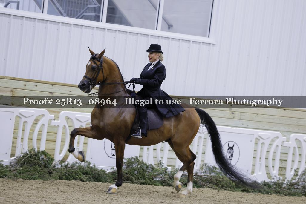 Proof Number 25R13_08964