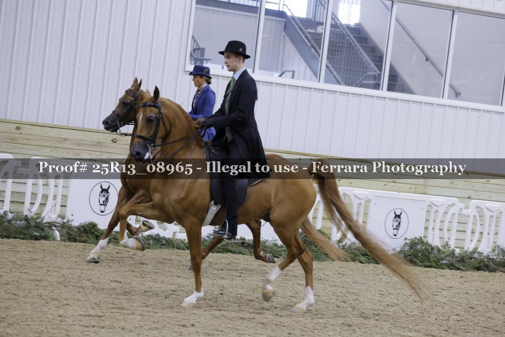 Proof Number 25R13_08965