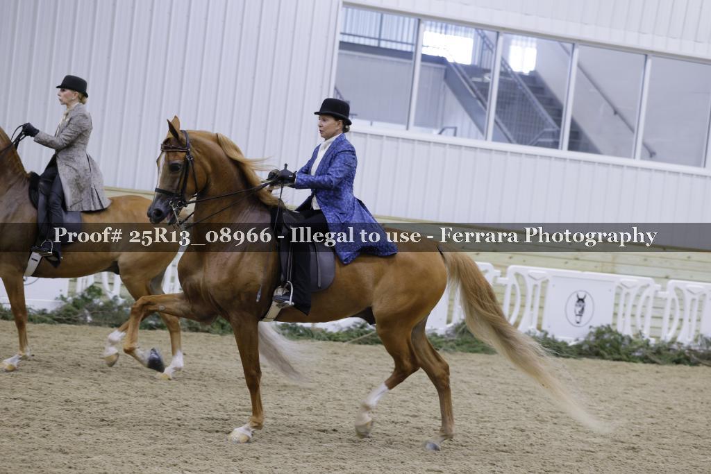 Proof Number 25R13_08966