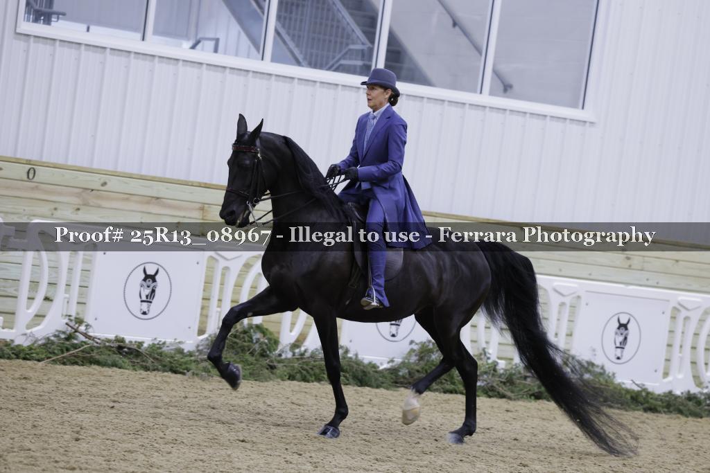 Proof Number 25R13_08967
