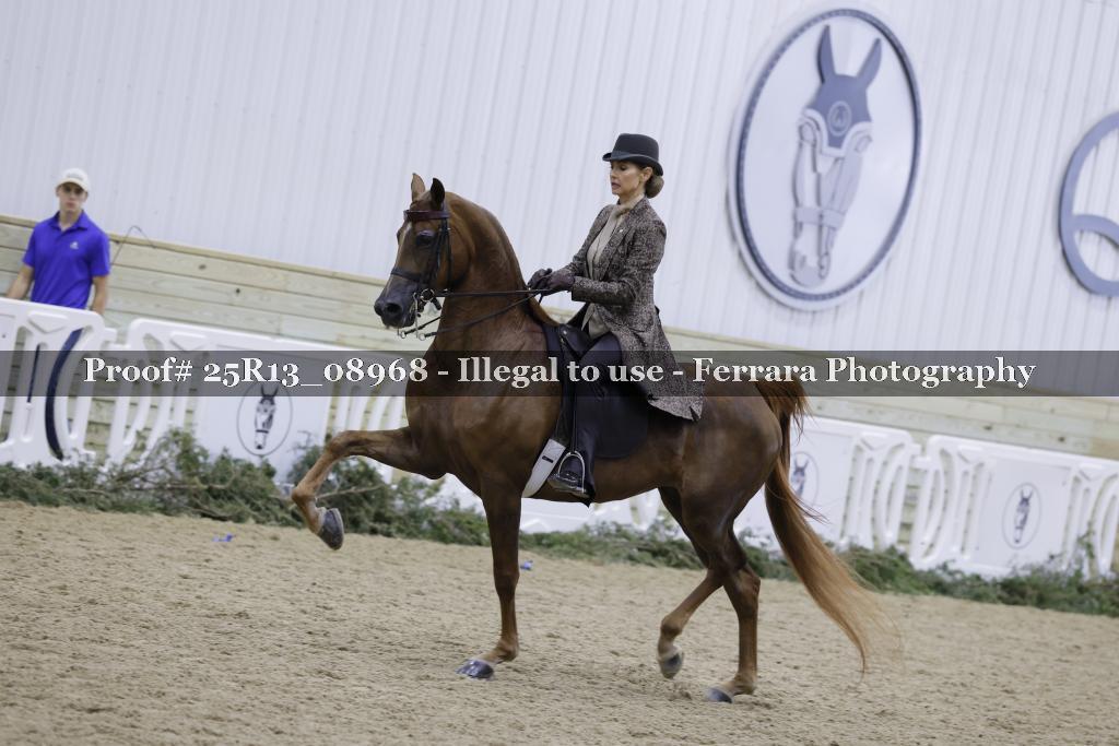 Proof Number 25R13_08968