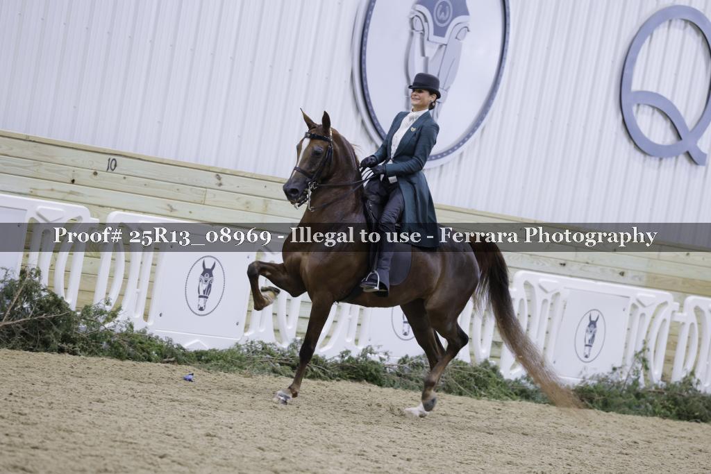 Proof Number 25R13_08969