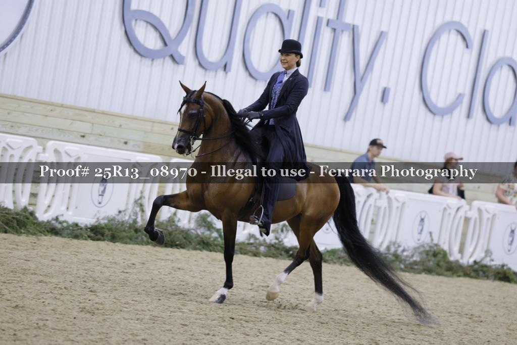 Proof Number 25R13_08970