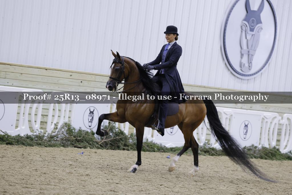 Proof Number 25R13_08971