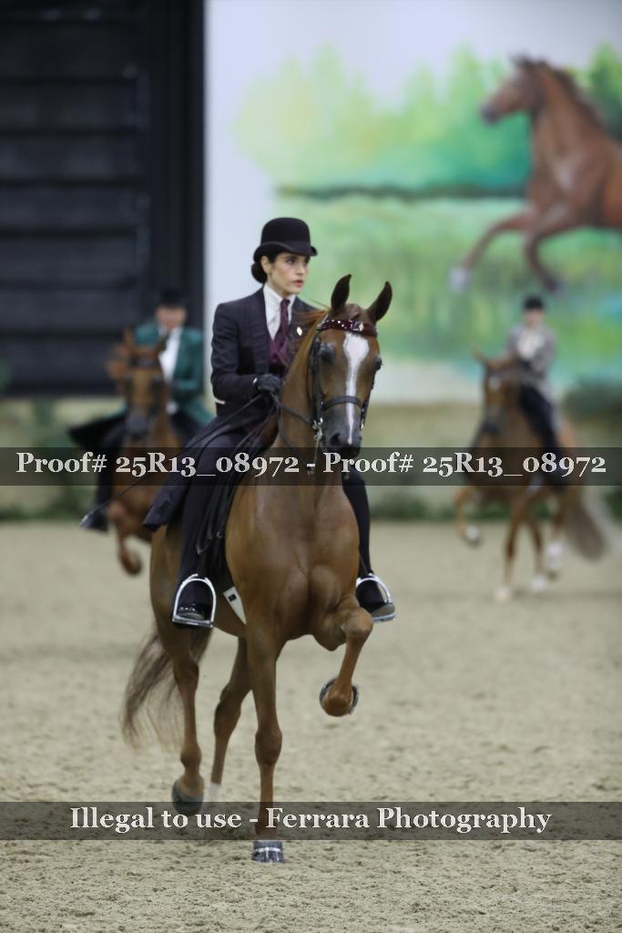 Proof Number 25R13_08972