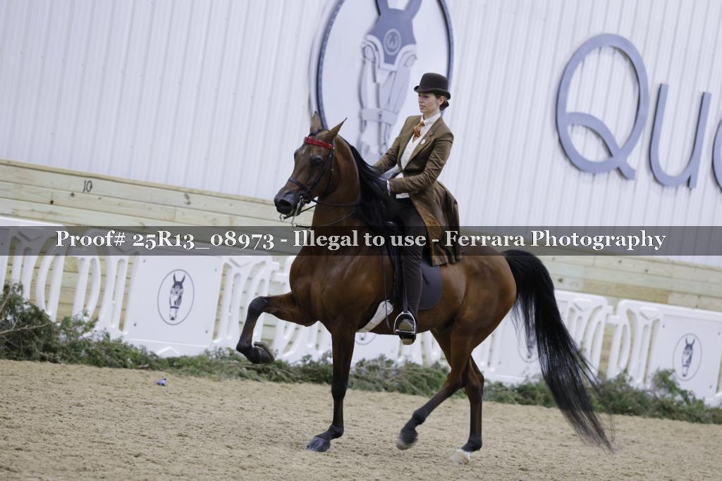 Proof Number 25R13_08973