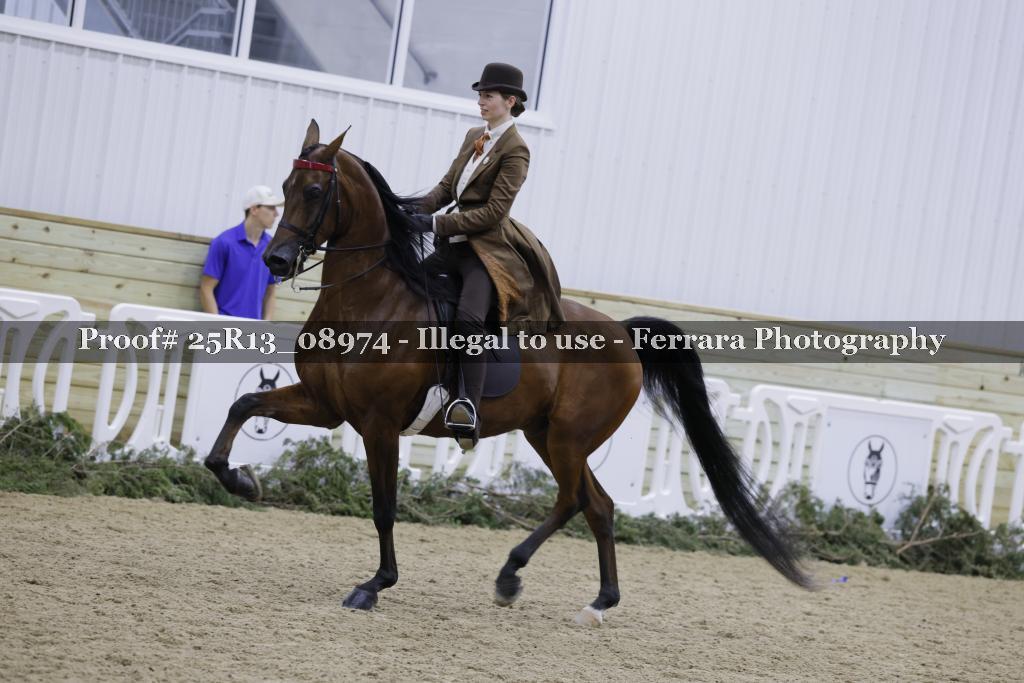 Proof Number 25R13_08974