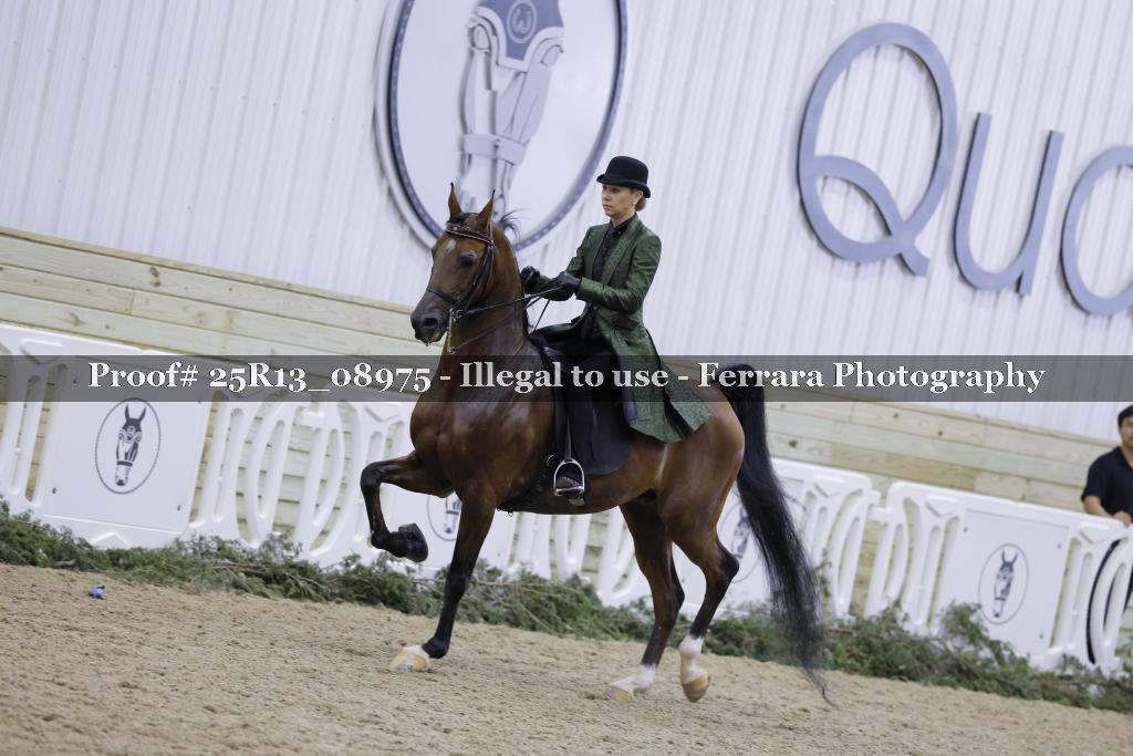 Proof Number 25R13_08975