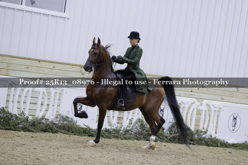 Proof Number 25R13_08976