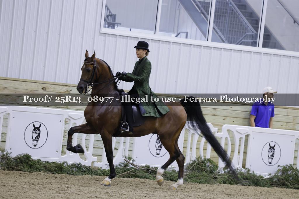Proof Number 25R13_08977