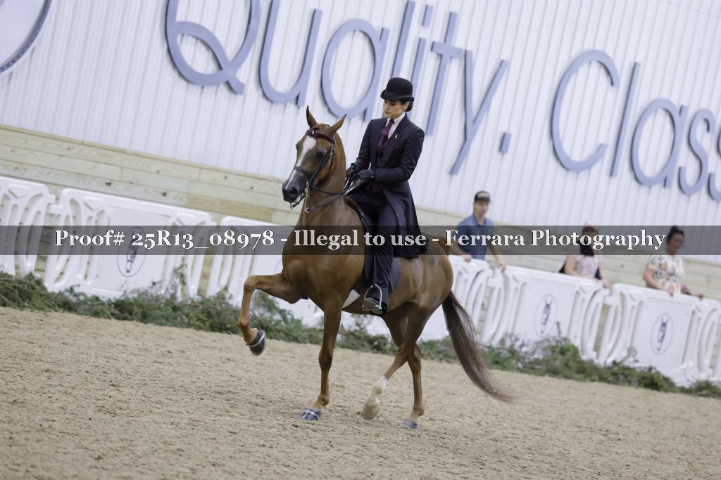 Proof Number 25R13_08978