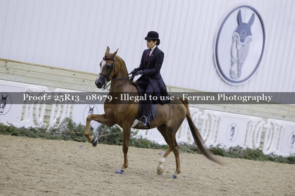 Proof Number 25R13_08979