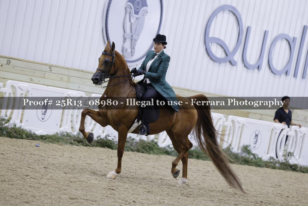 Proof Number 25R13_08980