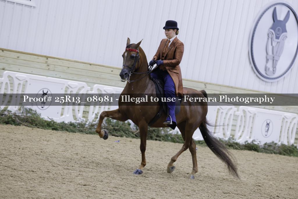 Proof Number 25R13_08981