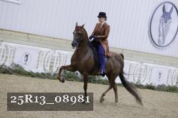25R13_08981 thumbnail