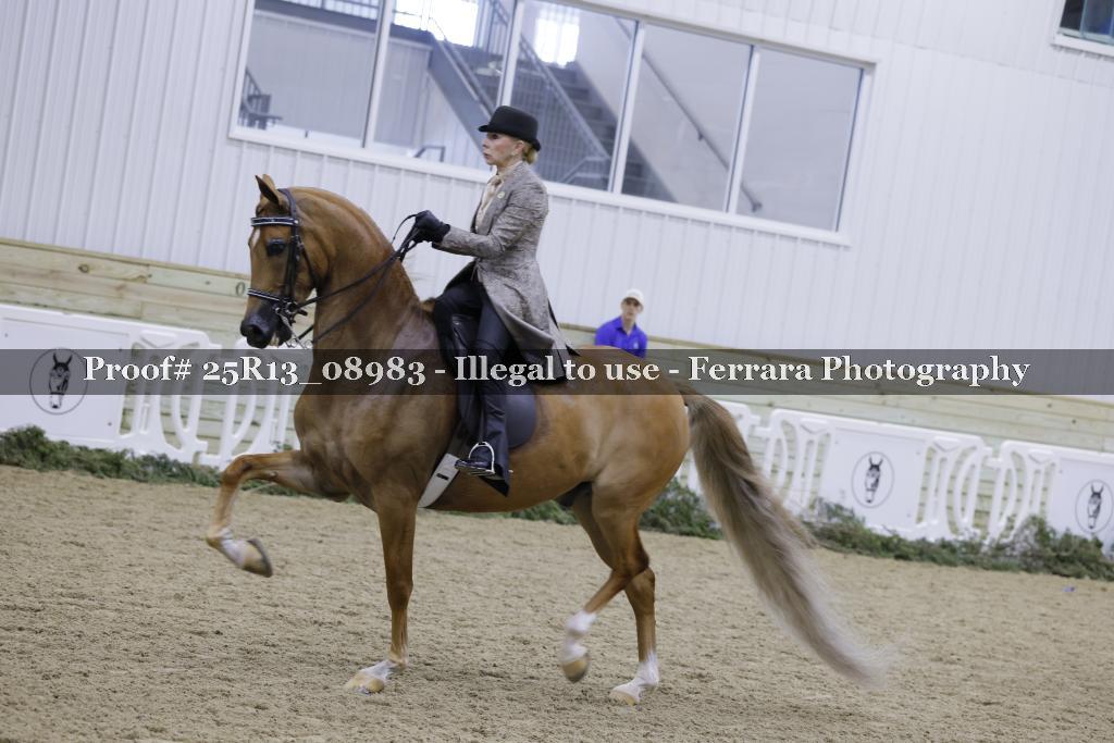Proof Number 25R13_08983