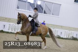 25R13_08983 thumbnail