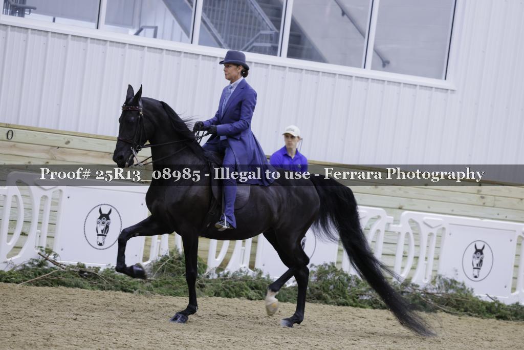 Proof Number 25R13_08985